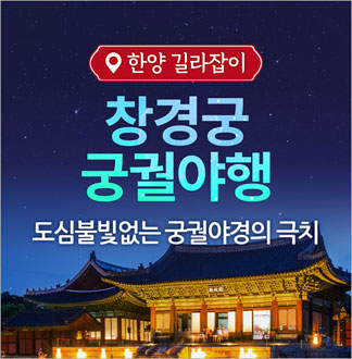[서울] 창경궁 궁궐야행 투어 1인권(01/01~12/31)      